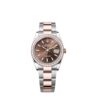 Replica Rolex Datejust 36 mm Chocolate Dial 126281RBR - Best shop to buy a Fake Rolex