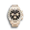 Replica Rolex Daytona 116505 40mm Black Dial Front - Best shop to buy a Fake Rolex