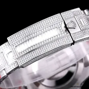 Crown and crown guard close-up showing diamond setting