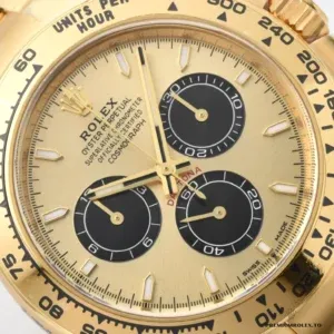 Rolex Daytona 126508 gold dial under warm lighting conditions