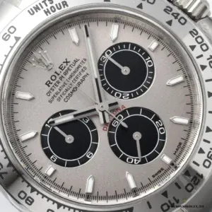 Daytona 126509 side angle showing white gold-plated case profile and lugs