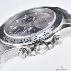 Rolex Daytona 116509 silver dial under natural light conditions