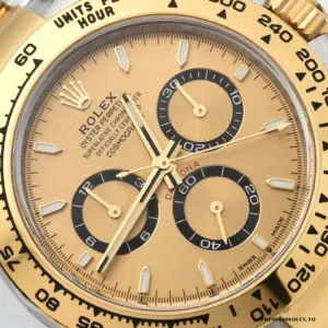 Caseback view of the Rolex Daytona 126503 two-tone model