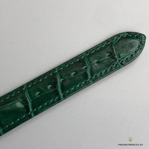 Day-Date 118138 showing green leather strap and yellow gold-plated lugs