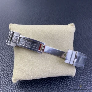 Platinum-style bezel detail with sandblasted insert and raised numerals